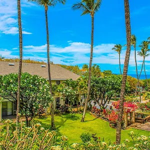 https://kihei-akahi-maui-condo-home.hotelsinhawaii.org